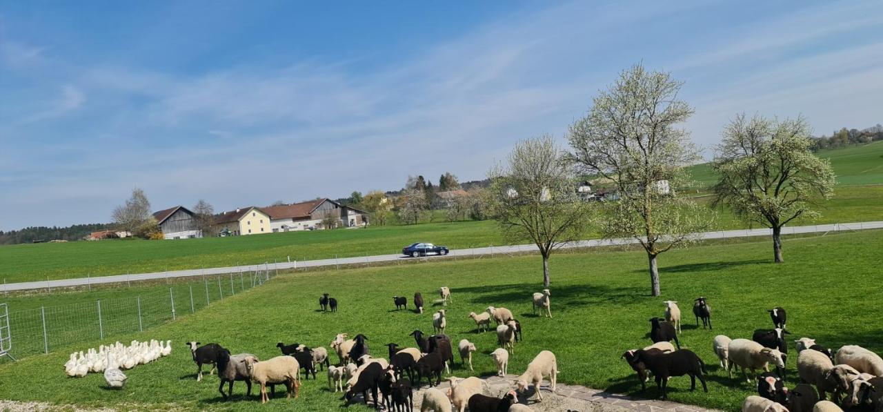Landgasthof Entenwirt Tarsdorf المظهر الخارجي الصورة