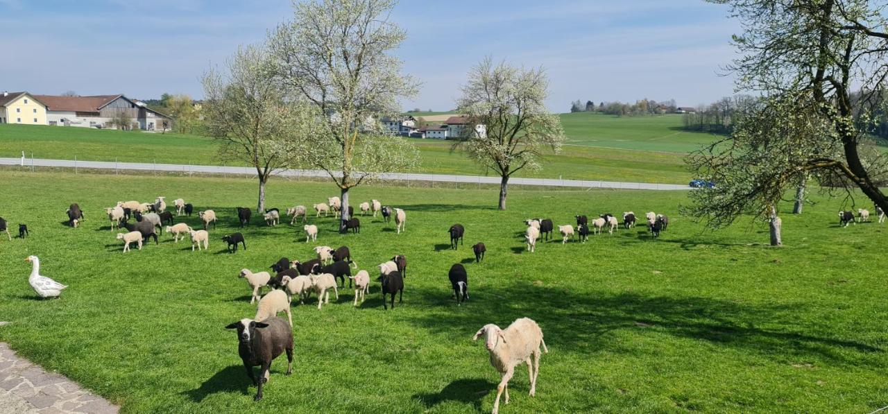 Landgasthof Entenwirt Tarsdorf المظهر الخارجي الصورة