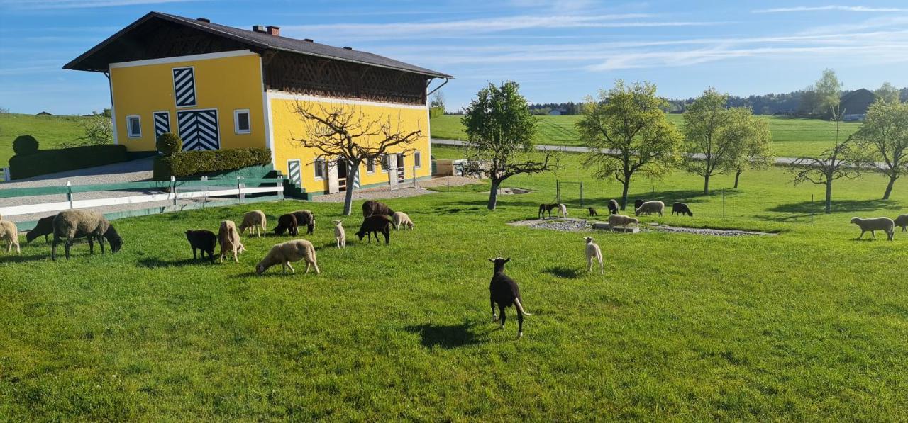 Landgasthof Entenwirt Tarsdorf المظهر الخارجي الصورة