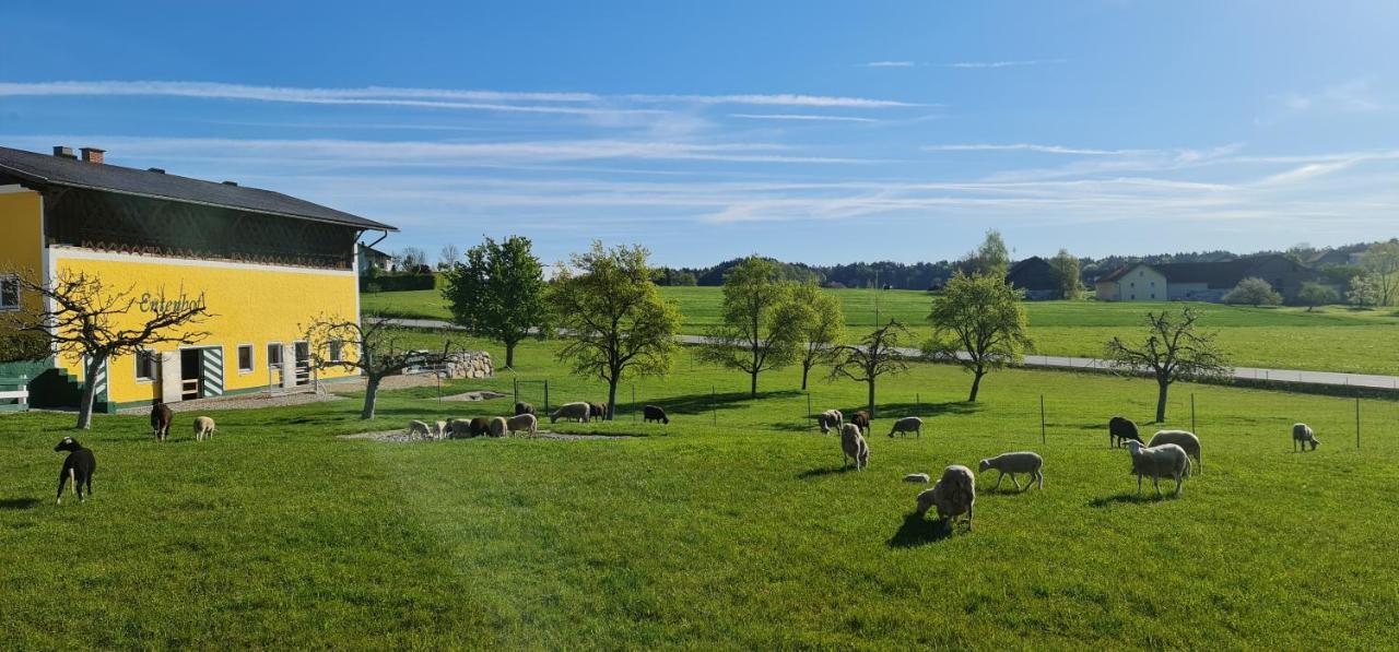 Landgasthof Entenwirt Tarsdorf المظهر الخارجي الصورة